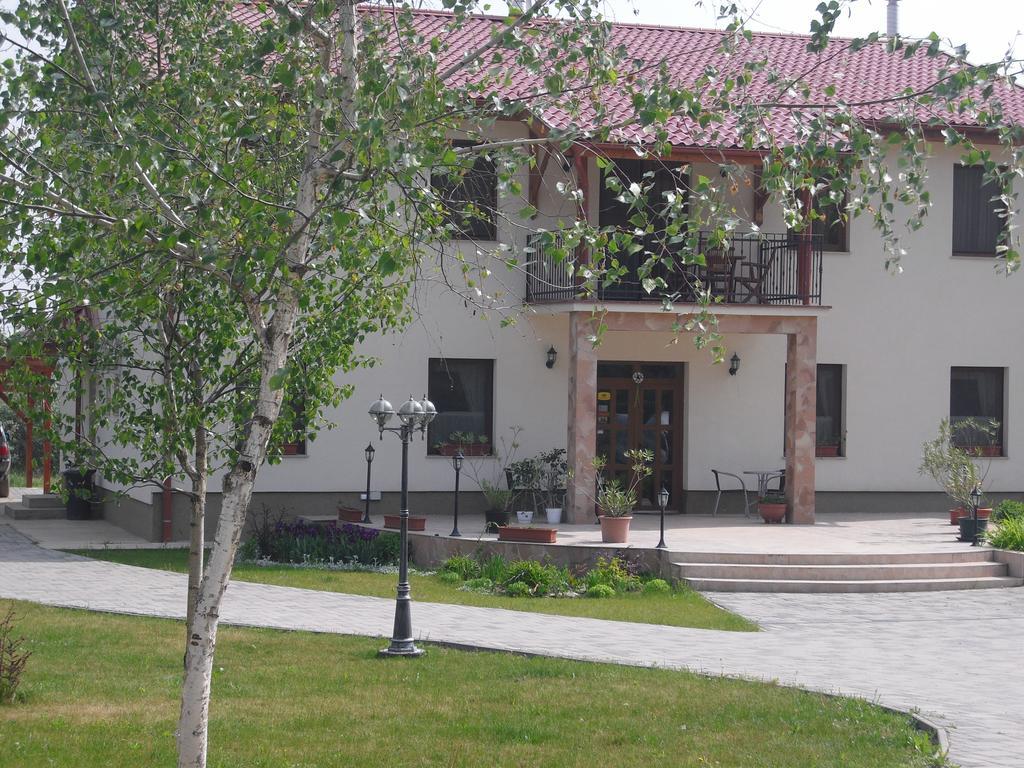 Anna Panzio Hotel Dunavarsány Buitenkant foto