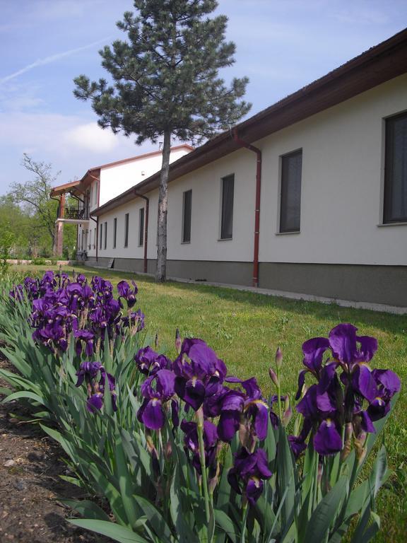 Anna Panzio Hotel Dunavarsány Buitenkant foto